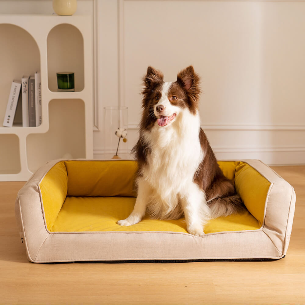 Orthopedic Bed For Large Dog
