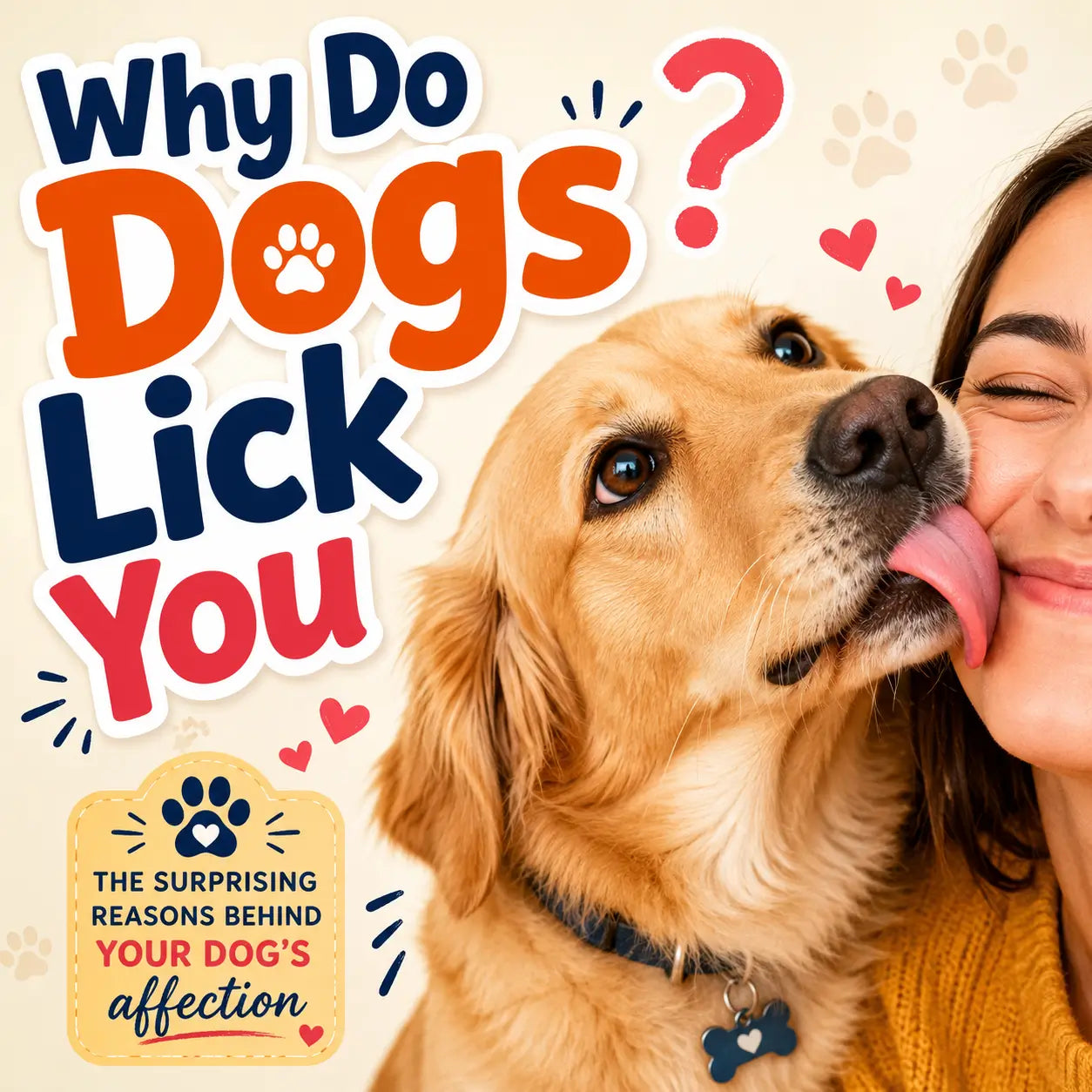 Why Do Dogs Lick You