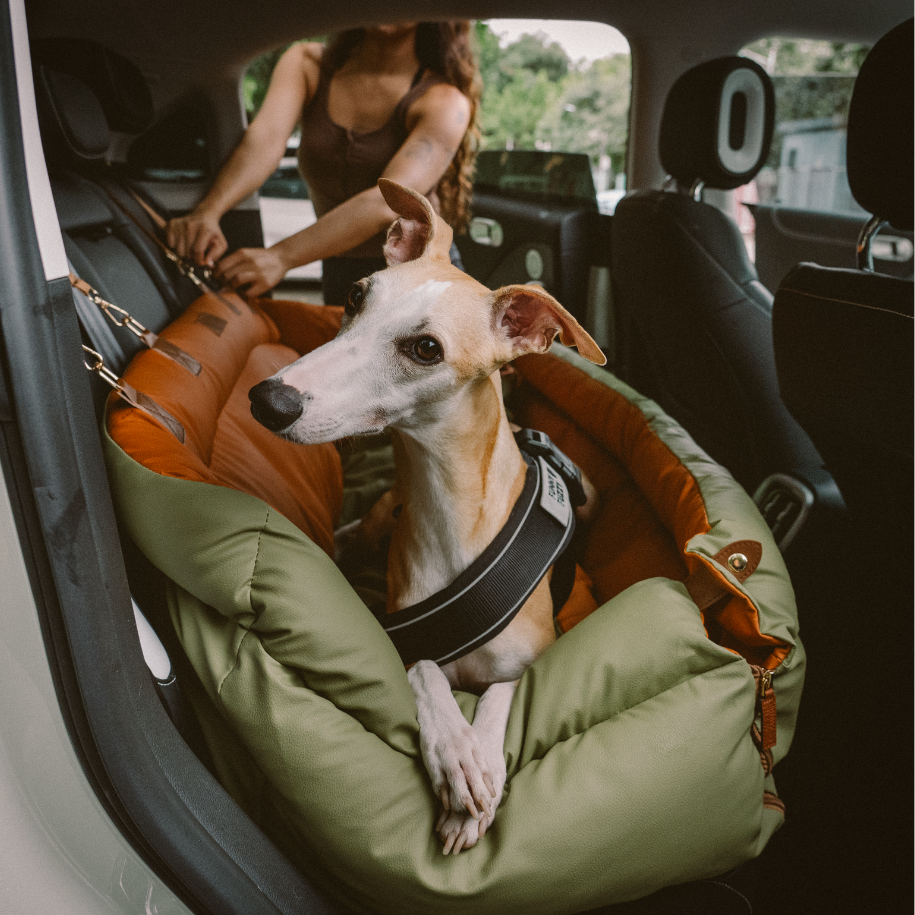 Dog Travel Gear: The Best Travel Gear For Our Dogs