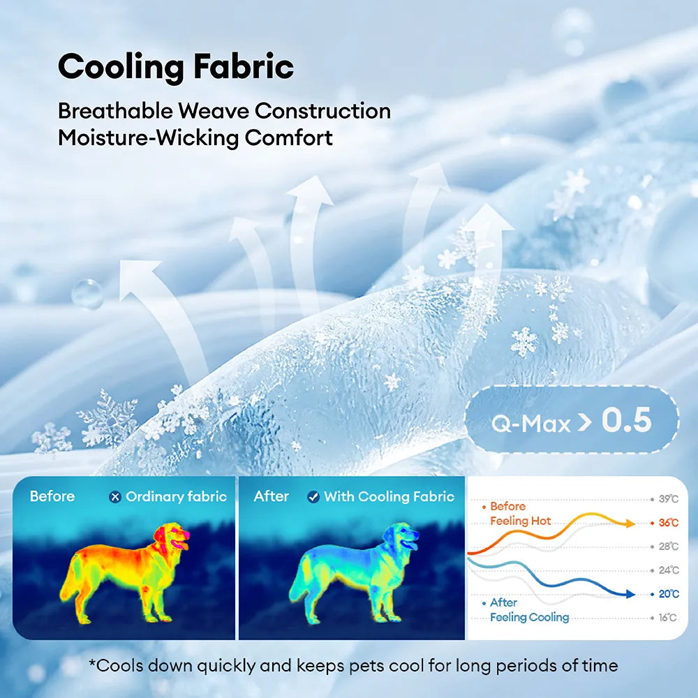 Breathable Cooling Elevated Dog Bed With Cooling Blanket
