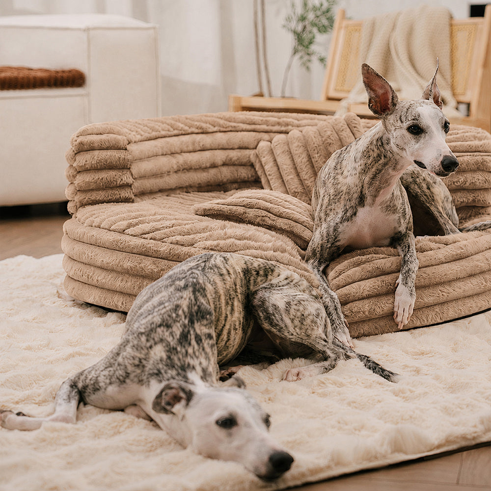 Ultra-Soft Ribbed Plush Removable Donut Orthopedic Dog Bed with Pillows - Cozy Nest