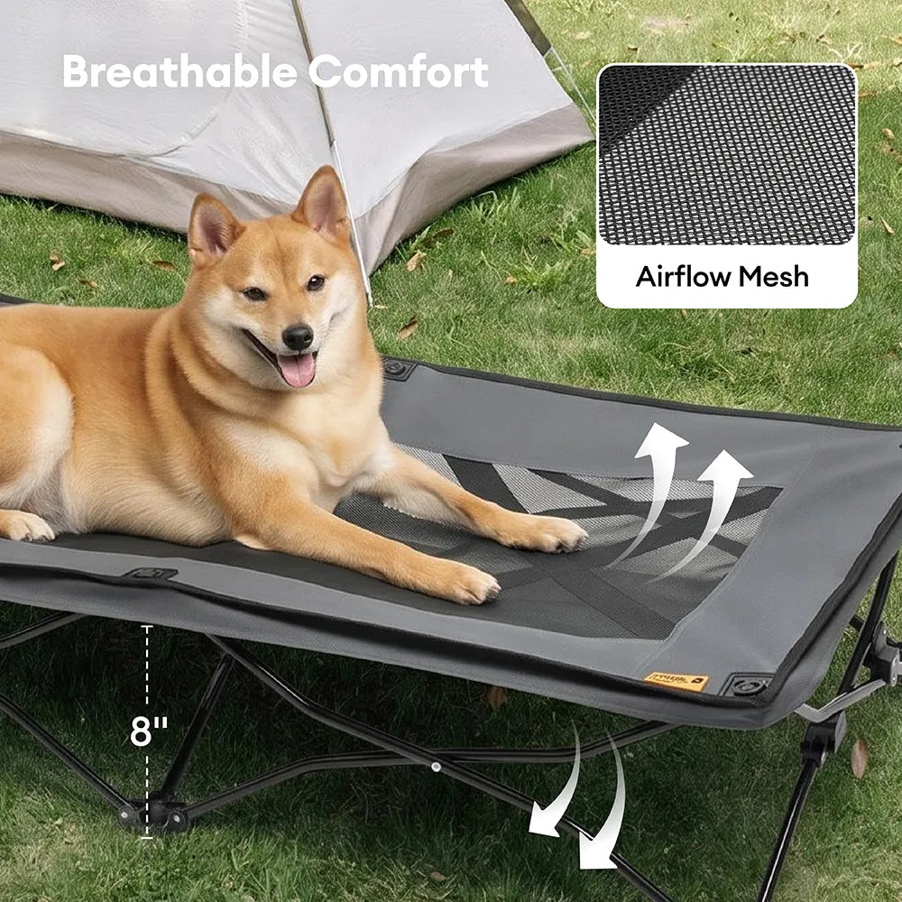 Foldable Elevated Dog Bed-Urban Roaming