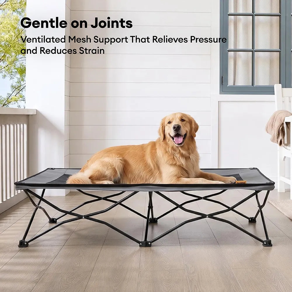 Foldable Elevated Dog Bed-Urban Roaming