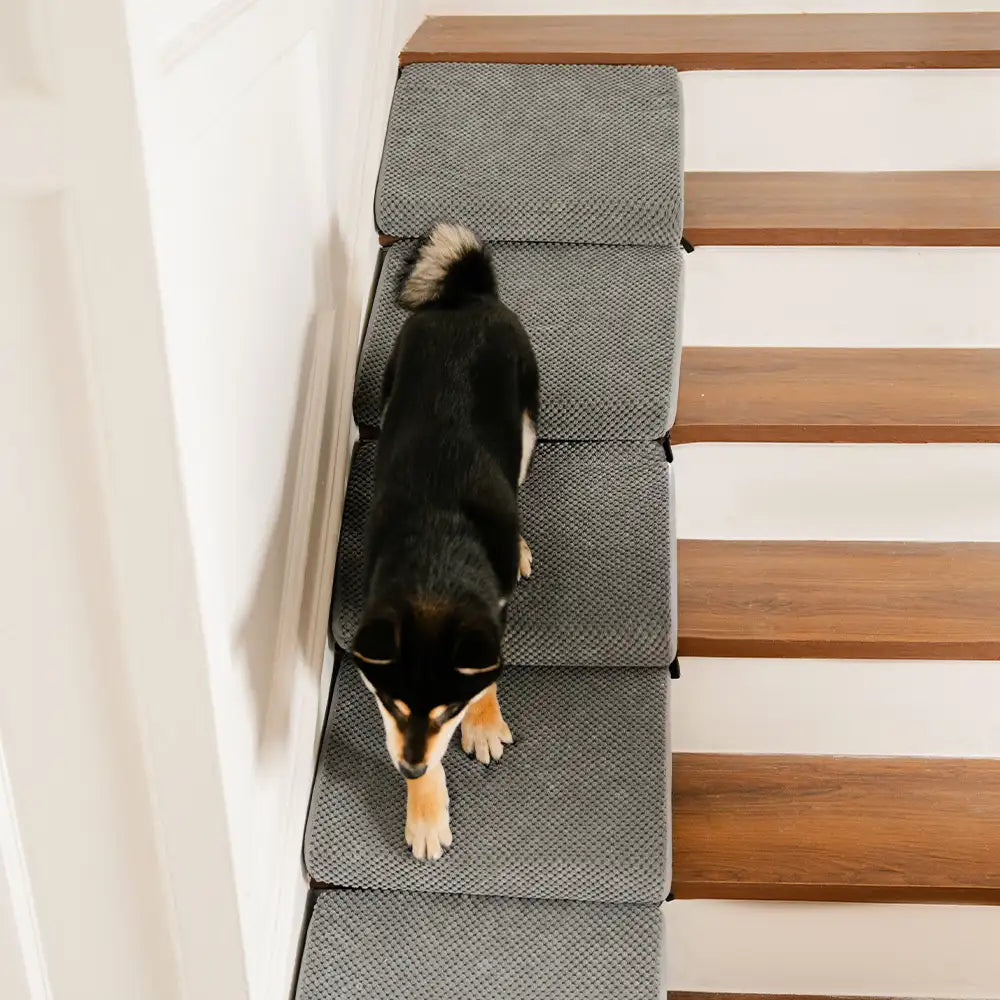 Escaleras de rampa para perros de espuma modular para escaleras de escalera con velcro