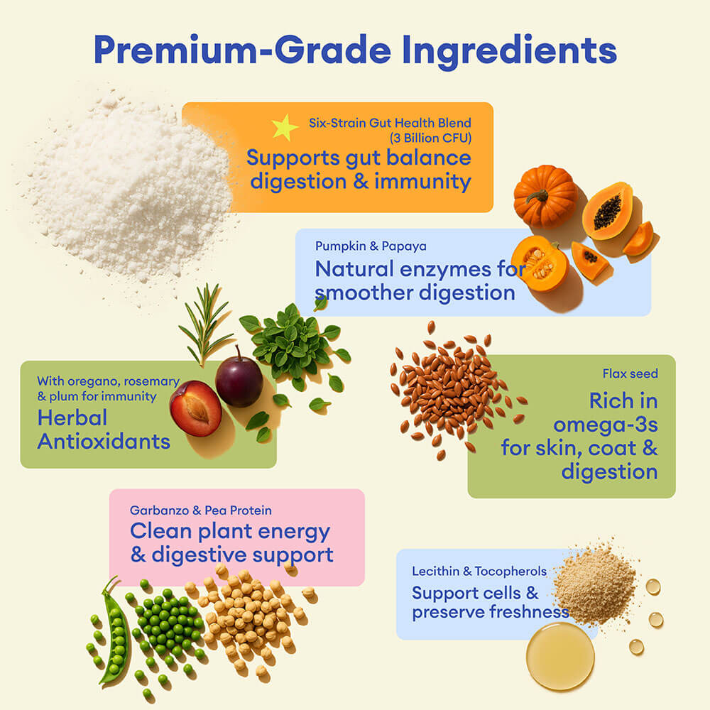Masticables blandos probióticos para perros (120 unidades) | Salud digestiva & Refuerzo inmunológico