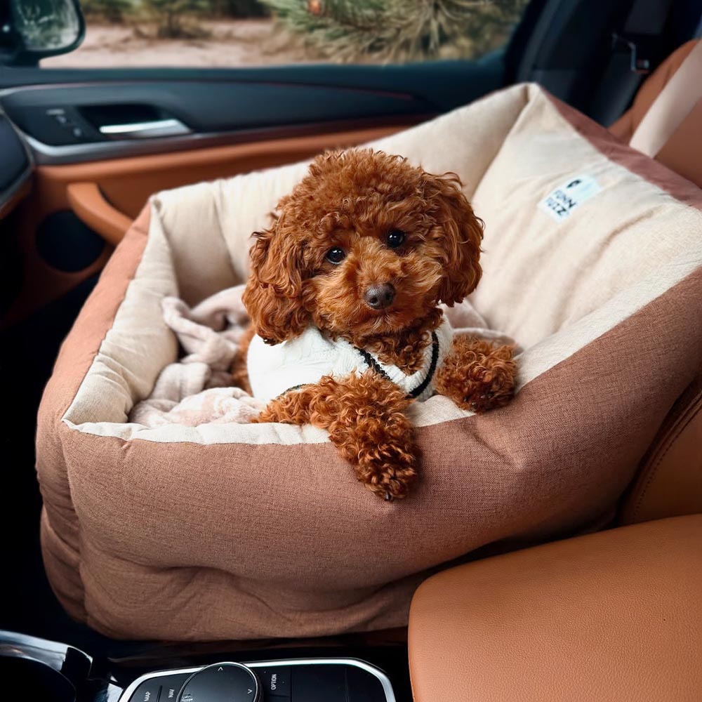 Travel Protection Booster Waterproof Elevated & Thickened Dog Car Seat Bed