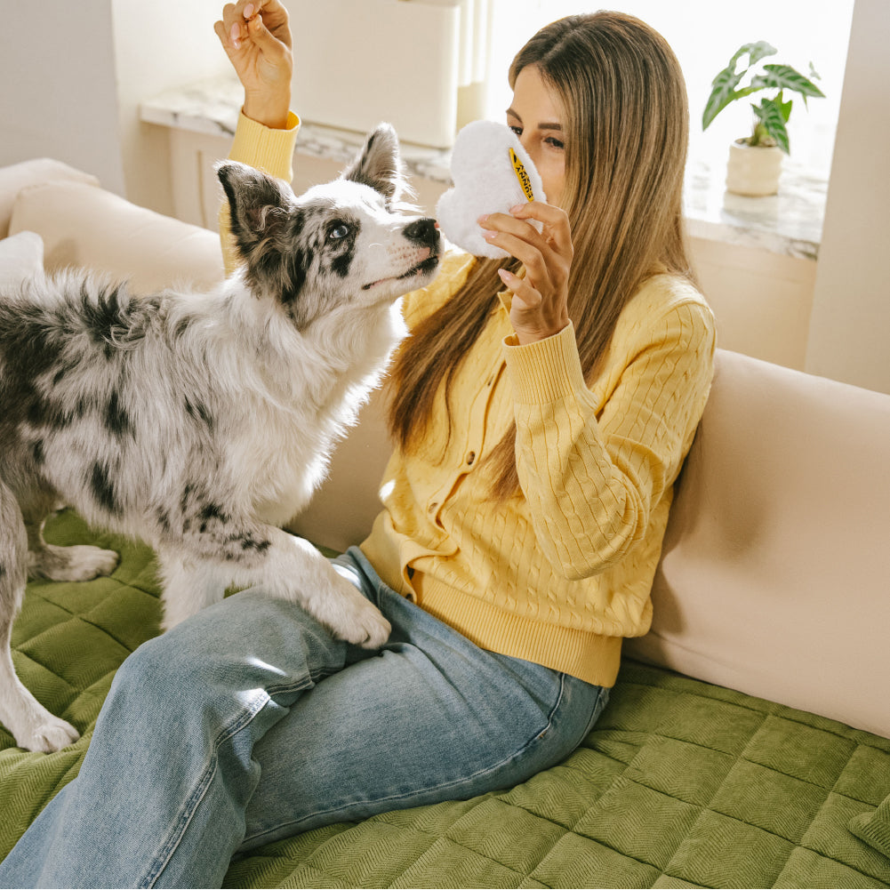 Scratch-proof All-season Stain-resistant Couch Cover Mat - Retro