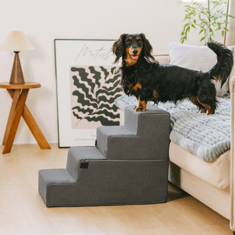 Escaleras de perro convertibles todo en uno: cómodo soporte articular