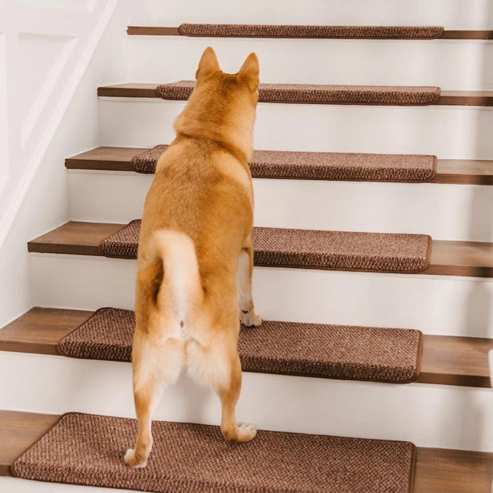 Trañas de escaleras de alfombra lavables sin cinta antideslizante