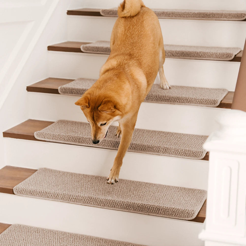 Trañas de escaleras de alfombra lavables sin cinta antideslizante
