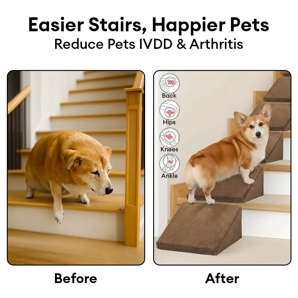 Escaleras de rampa para perros de espuma modular para escaleras de escalera con velcro