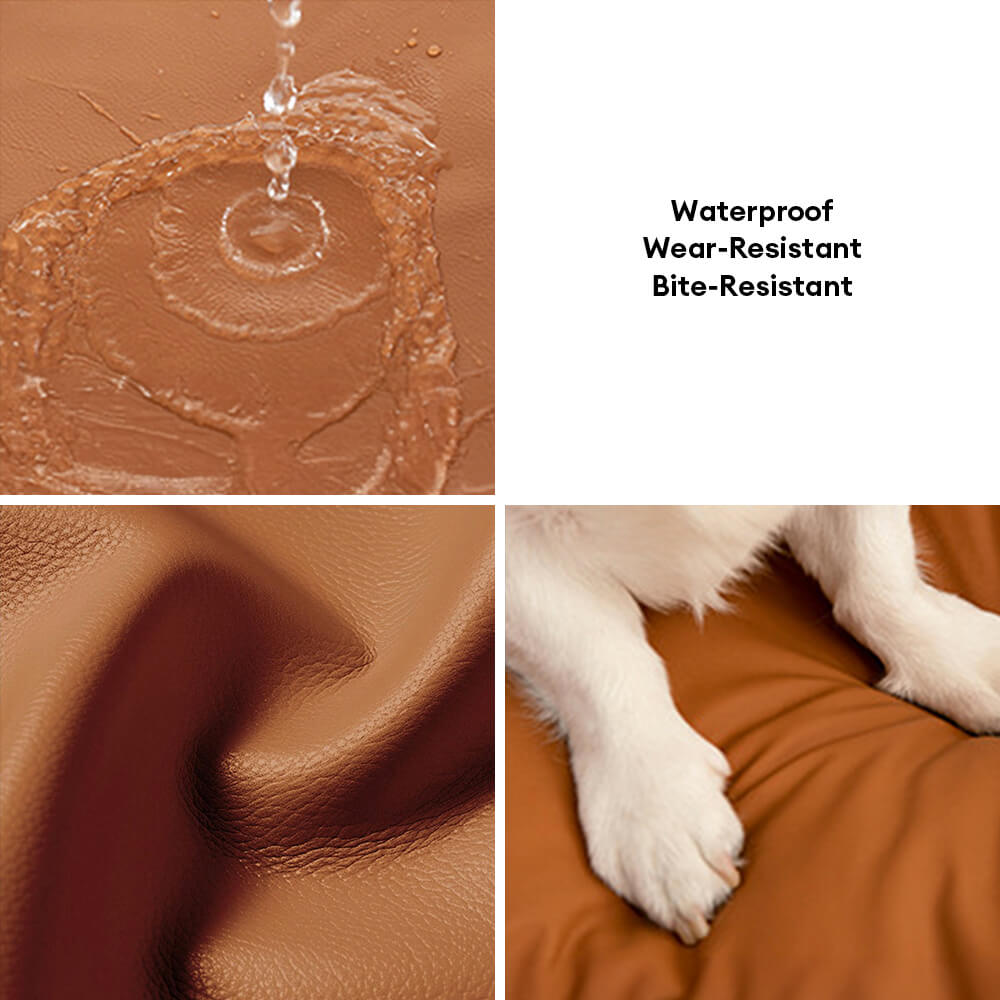 Cama moderna de sofá de respaldo de respaldo y gato