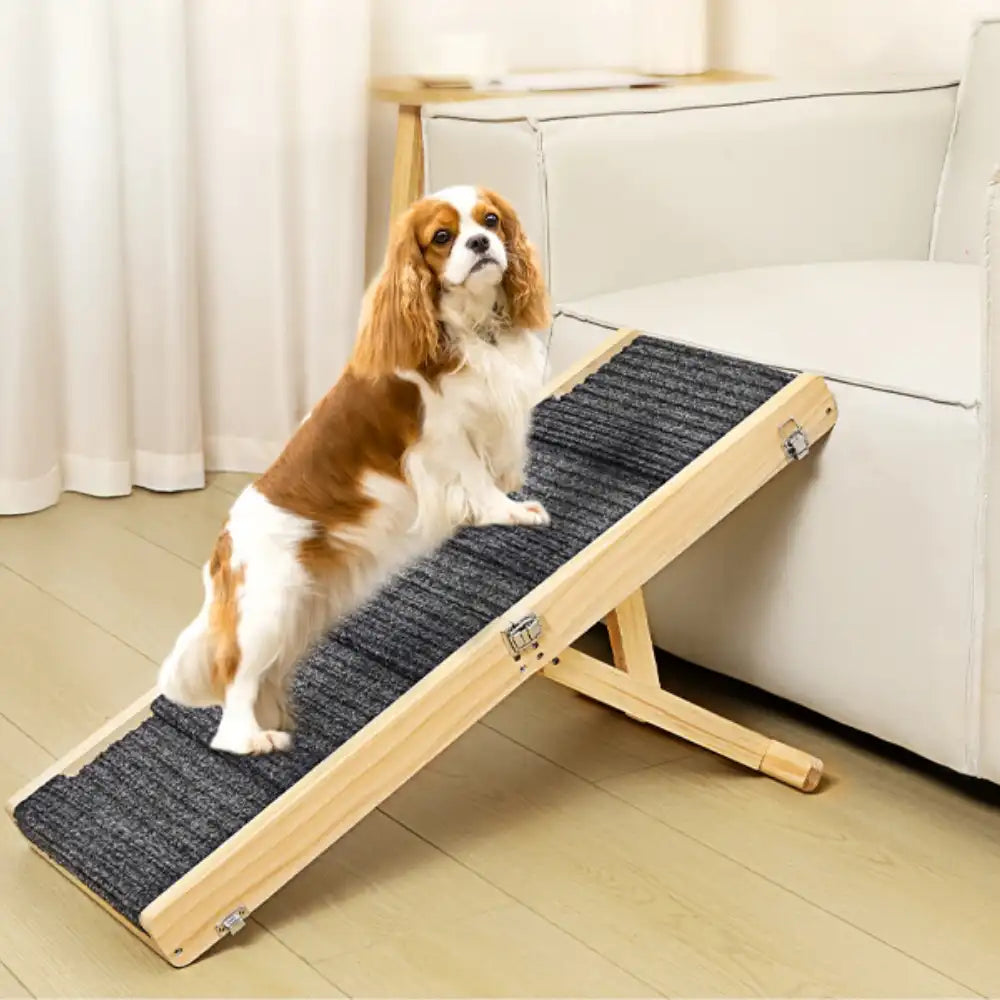 Wooden Dog Ramp Levels Height Adjustable Foldable Dog Stairs