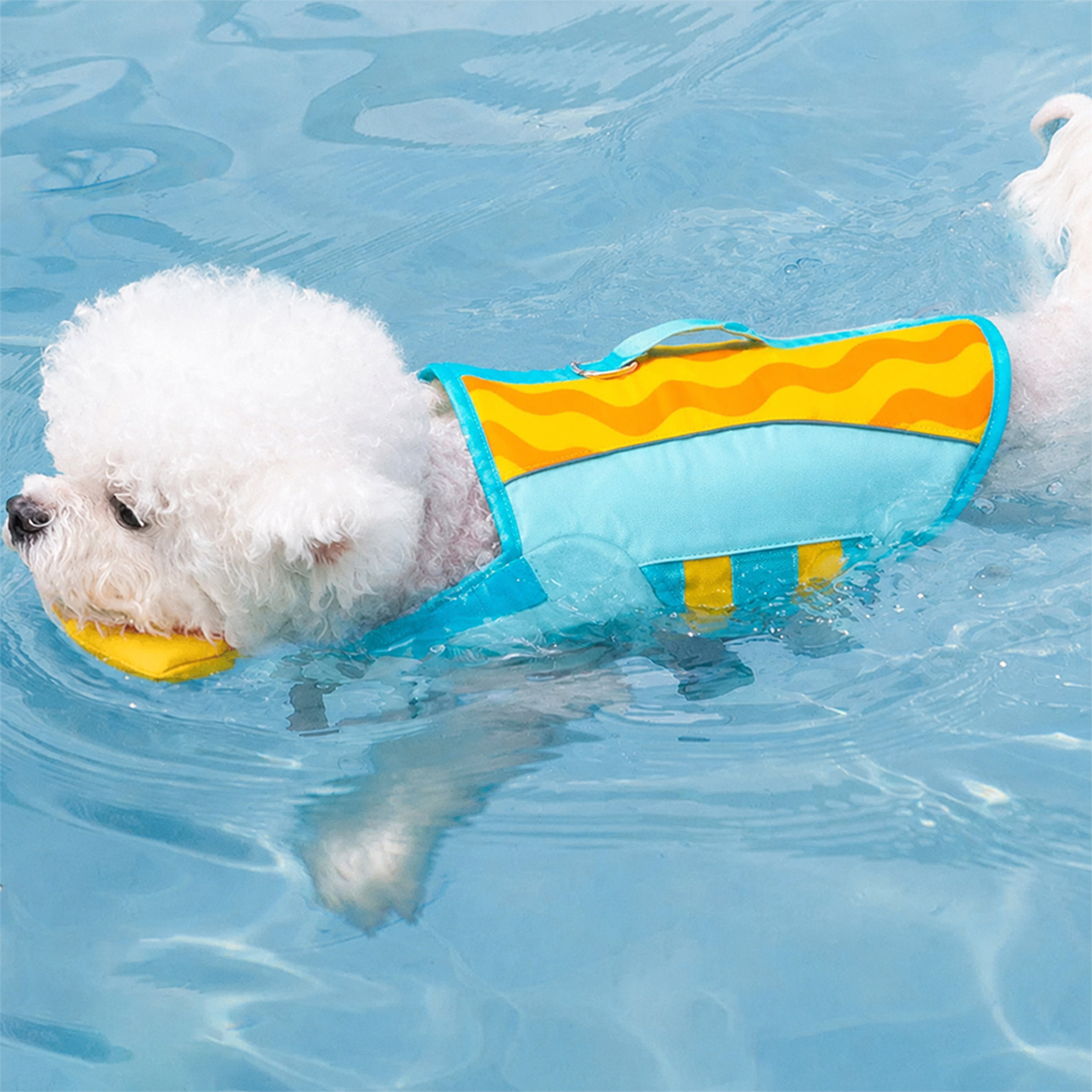 Stylish Color-Blocked Dog Life Jacket