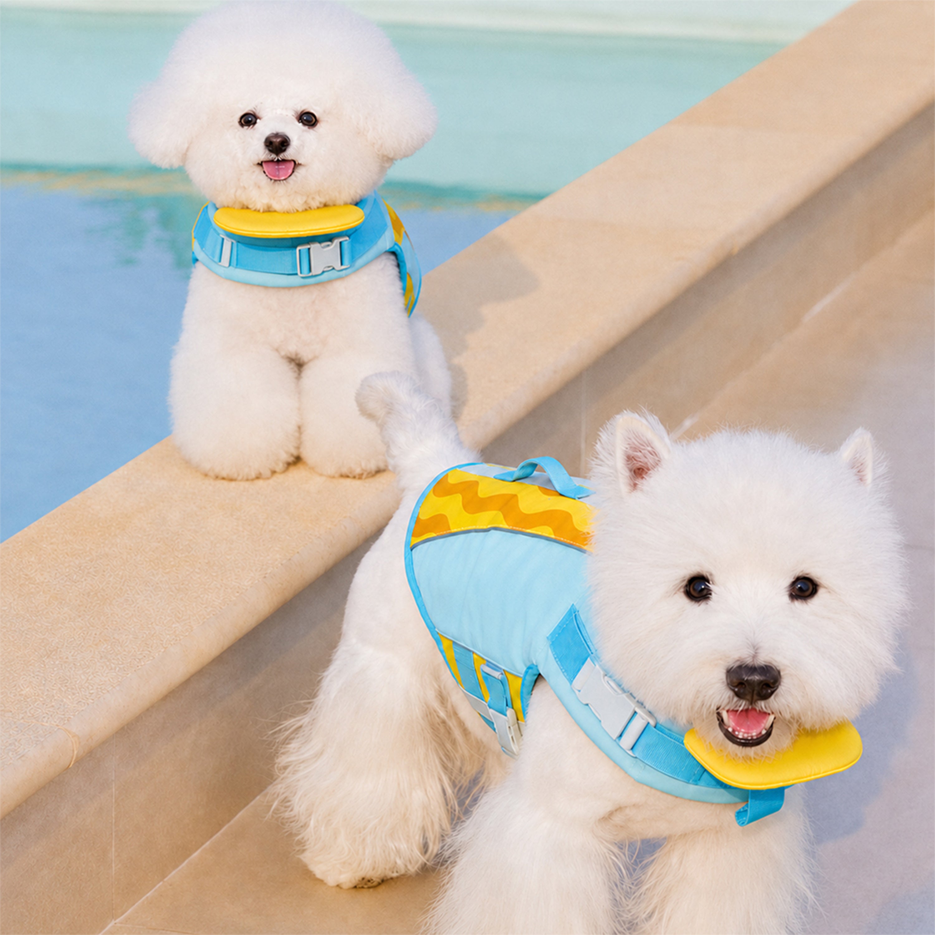 Stylish Color-Blocked Dog Life Jacket