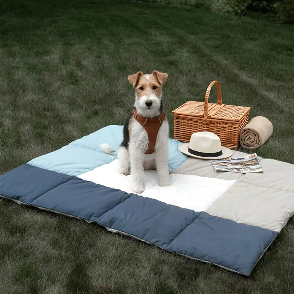 2 In 1 Multifunctional Water-Repellent Pet Mat Puppy Carrier Bag