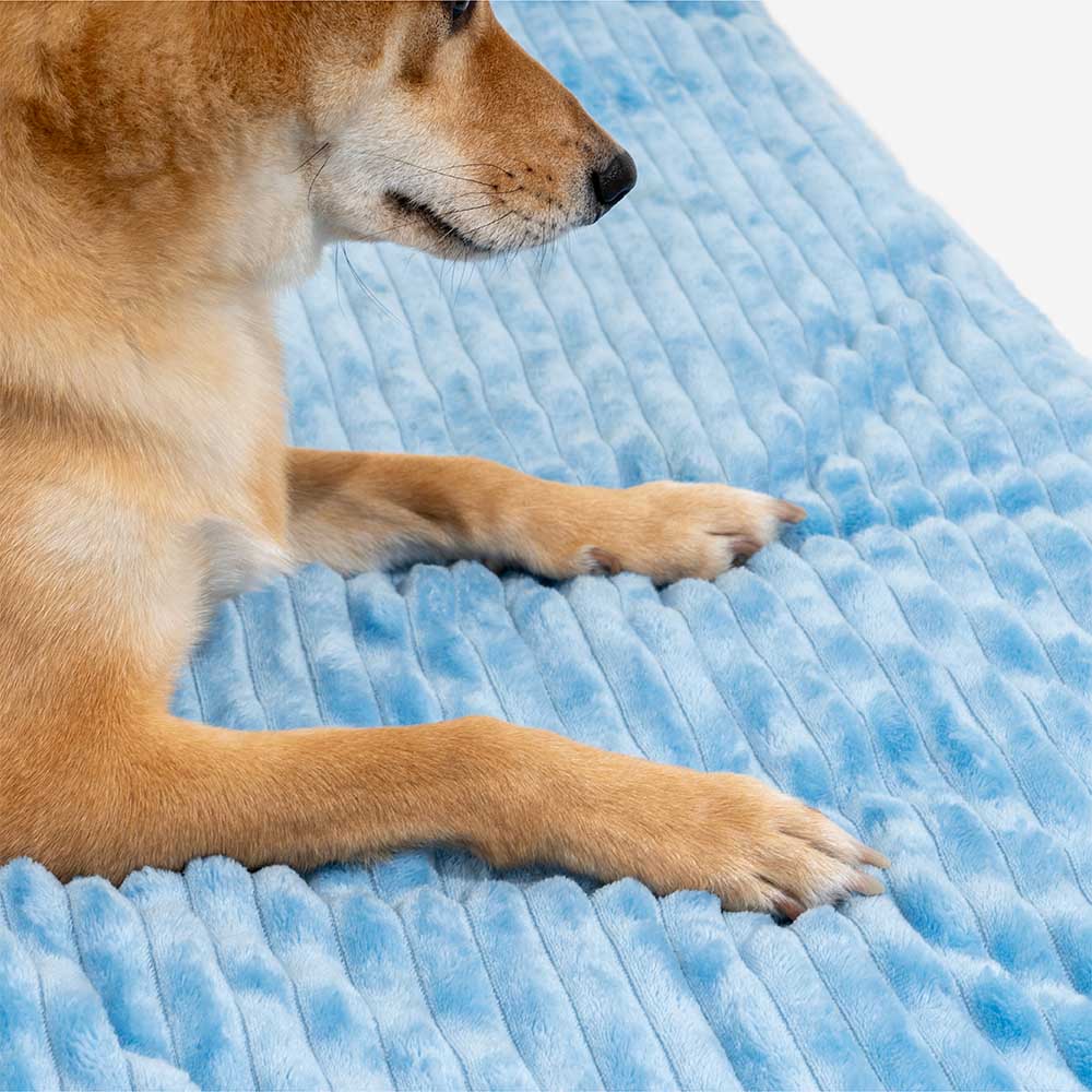 Casa de nieve navideña acogedora calidez gran casa de perros