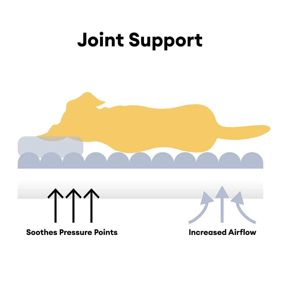 Casa de nieve navideña acogedora calidez gran casa de perros