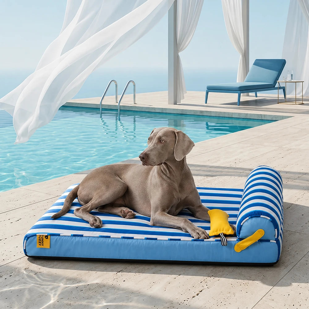 Cooling Orthopedic Dog Bed - FUNNYFUZZY
