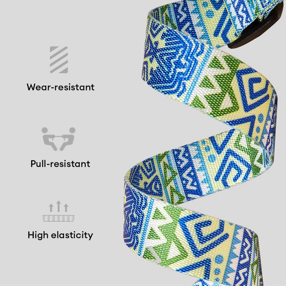 Cinturón de asiento de la mascota de correa para perros de nylon imprimido