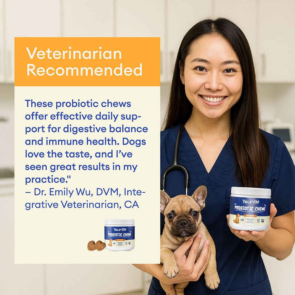 Masticables blandos probióticos para perros (120 unidades) | Salud digestiva & Refuerzo inmunológico