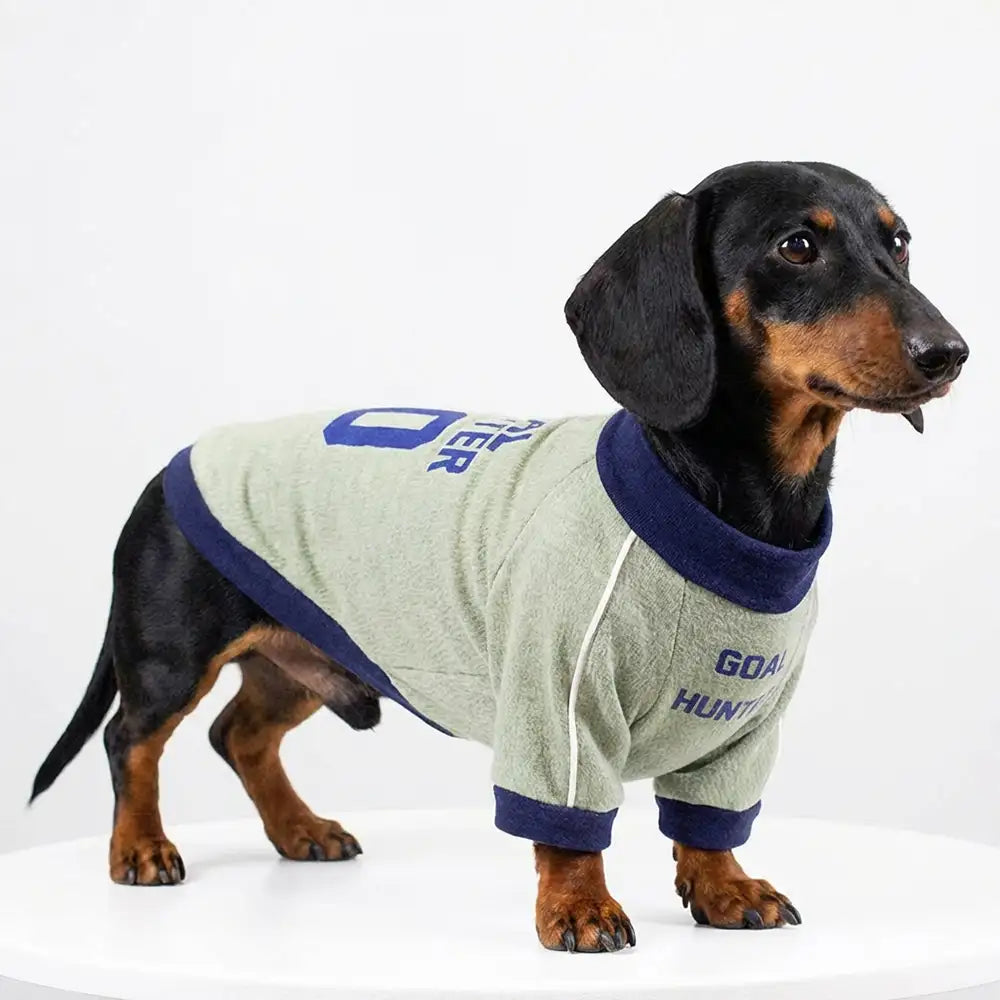 Breathable Thin Puppy Crewneck T-Shirt