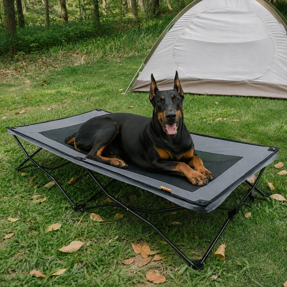 Foldable Elevated Dog Bed-Urban Roaming