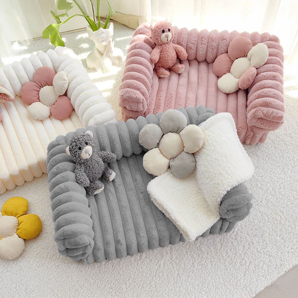 Cama ortopédica de confort de crema esponjosa y sofá de gato