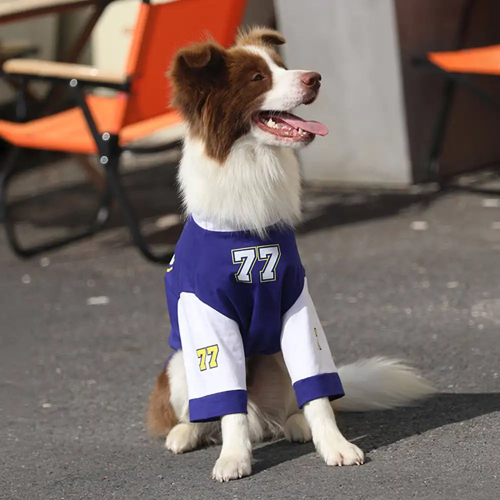 Crew Neck Breathable Washable All Breed Dog T-Shirt