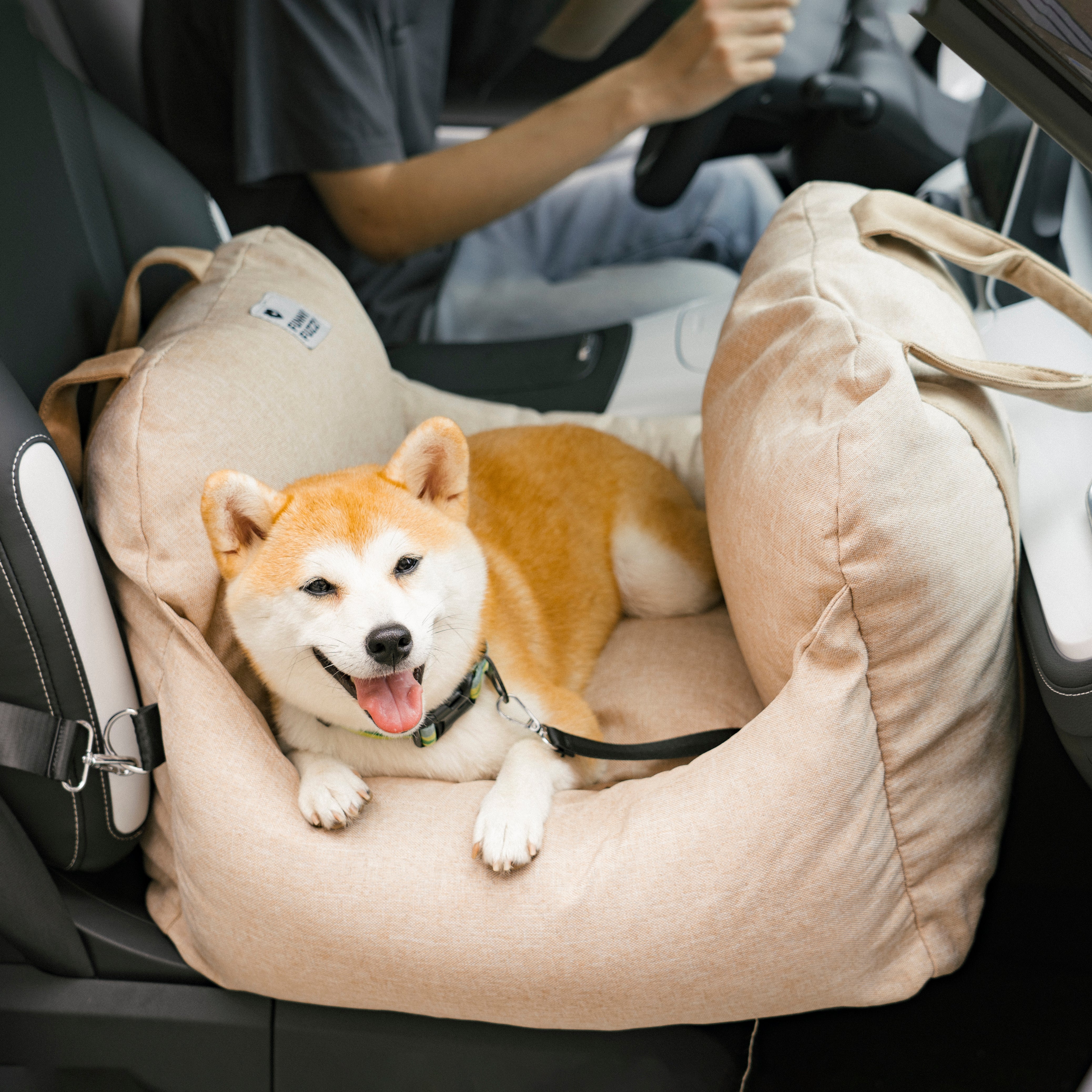 Cama de asiento para el asiento del automóvil para perros de seguridad para perros - Primera clase