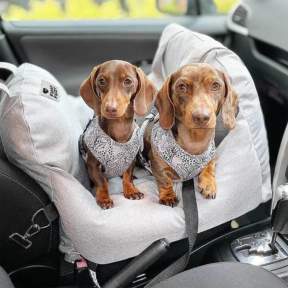 Camilla de asiento de automóvil para perros vintage corazón