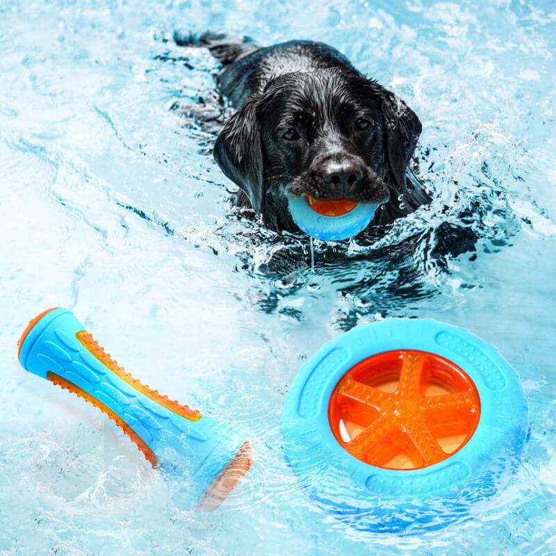 Dog swimming toys hotsell