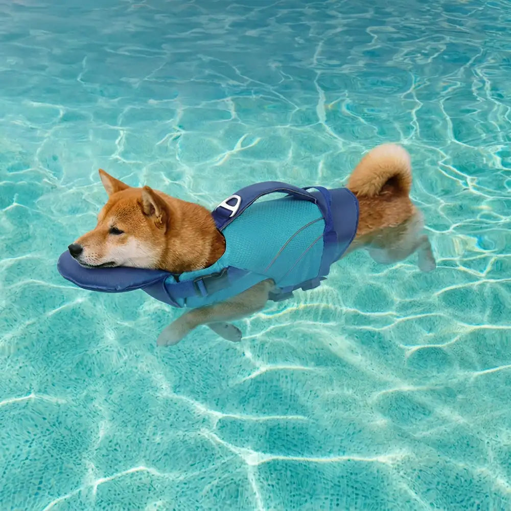 Dog Life Jacket with Detachable Chin Support