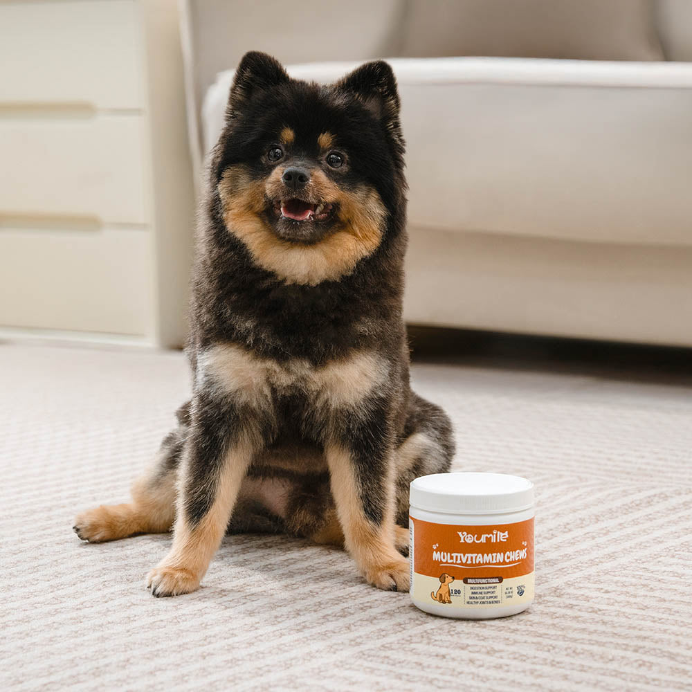 Dog Multivitamin Treats for Immune Health and Skin & Coat Support - 120 Count