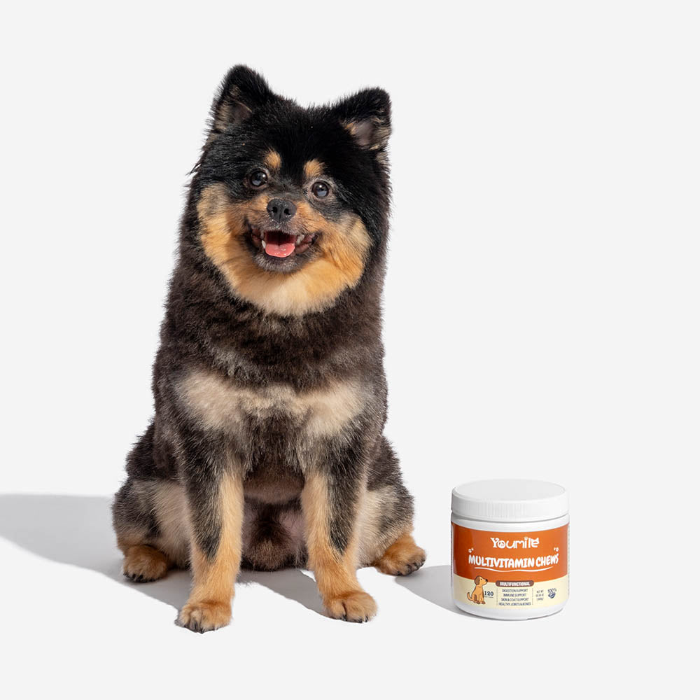 Dog Multivitamin Treats for Immune Health and Skin & Coat Support - 120 Count