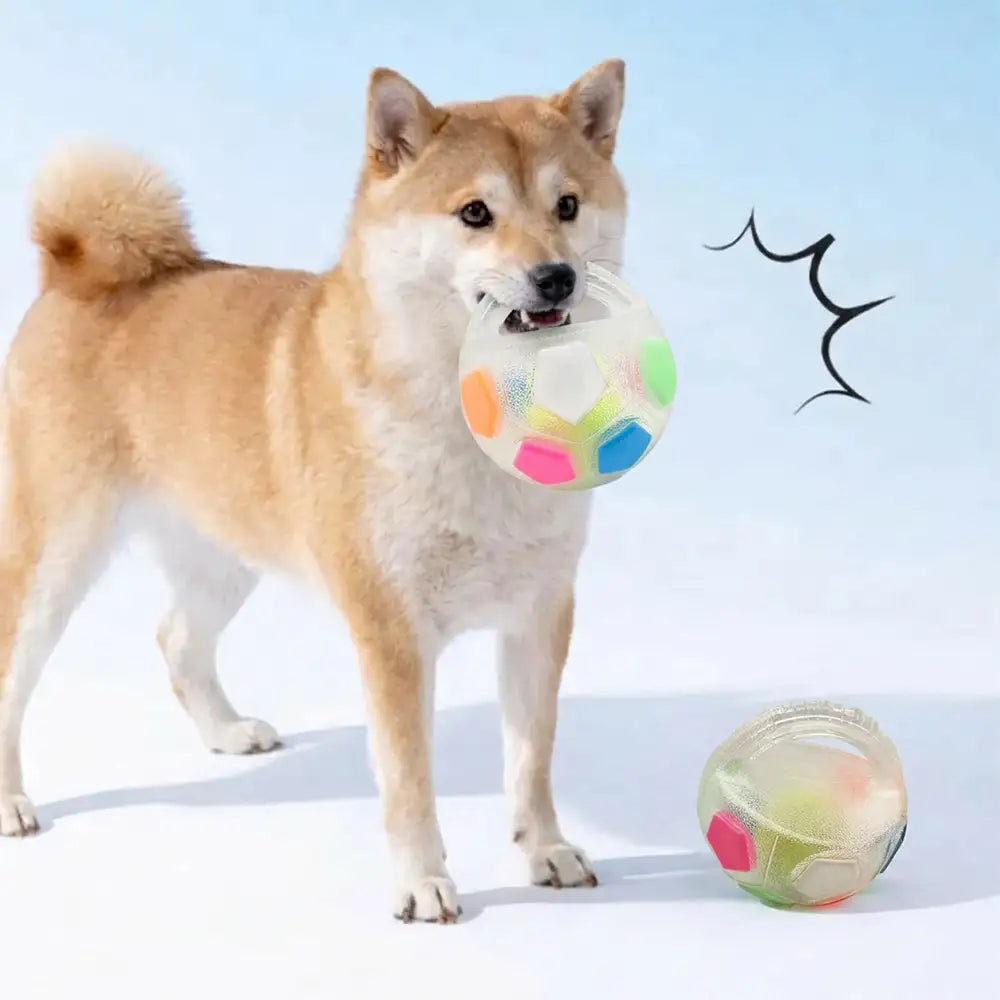 Dog Soccer Ball with Handle Floating Chew Toy