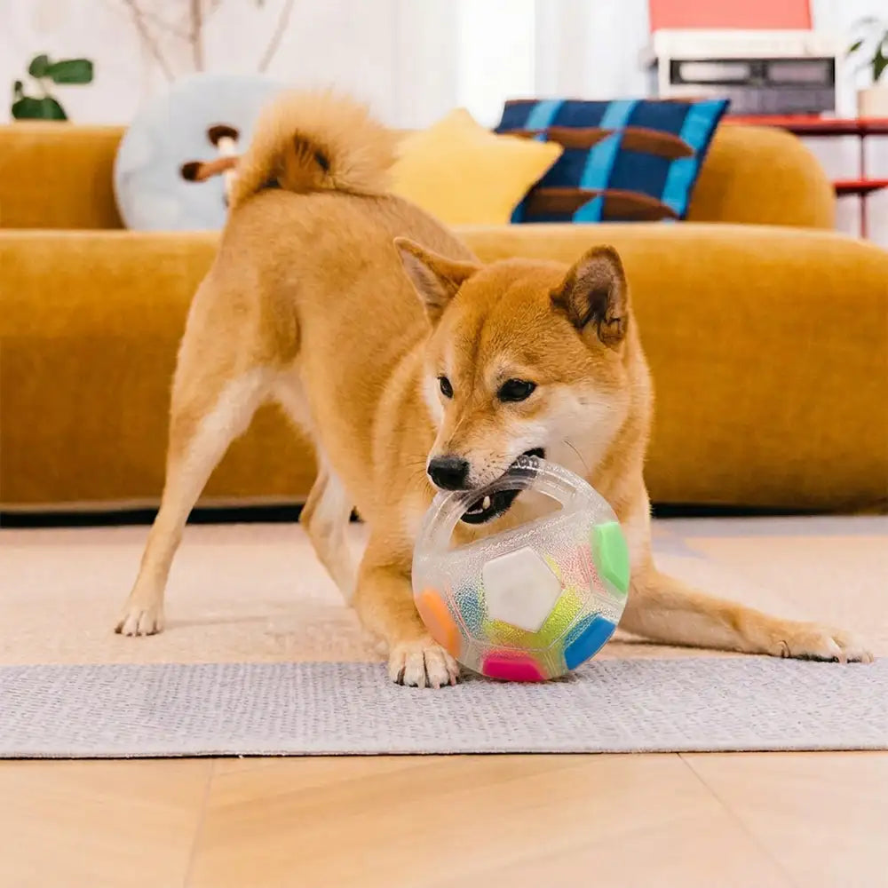Dog Soccer Ball with Handle Floating Chew Toy