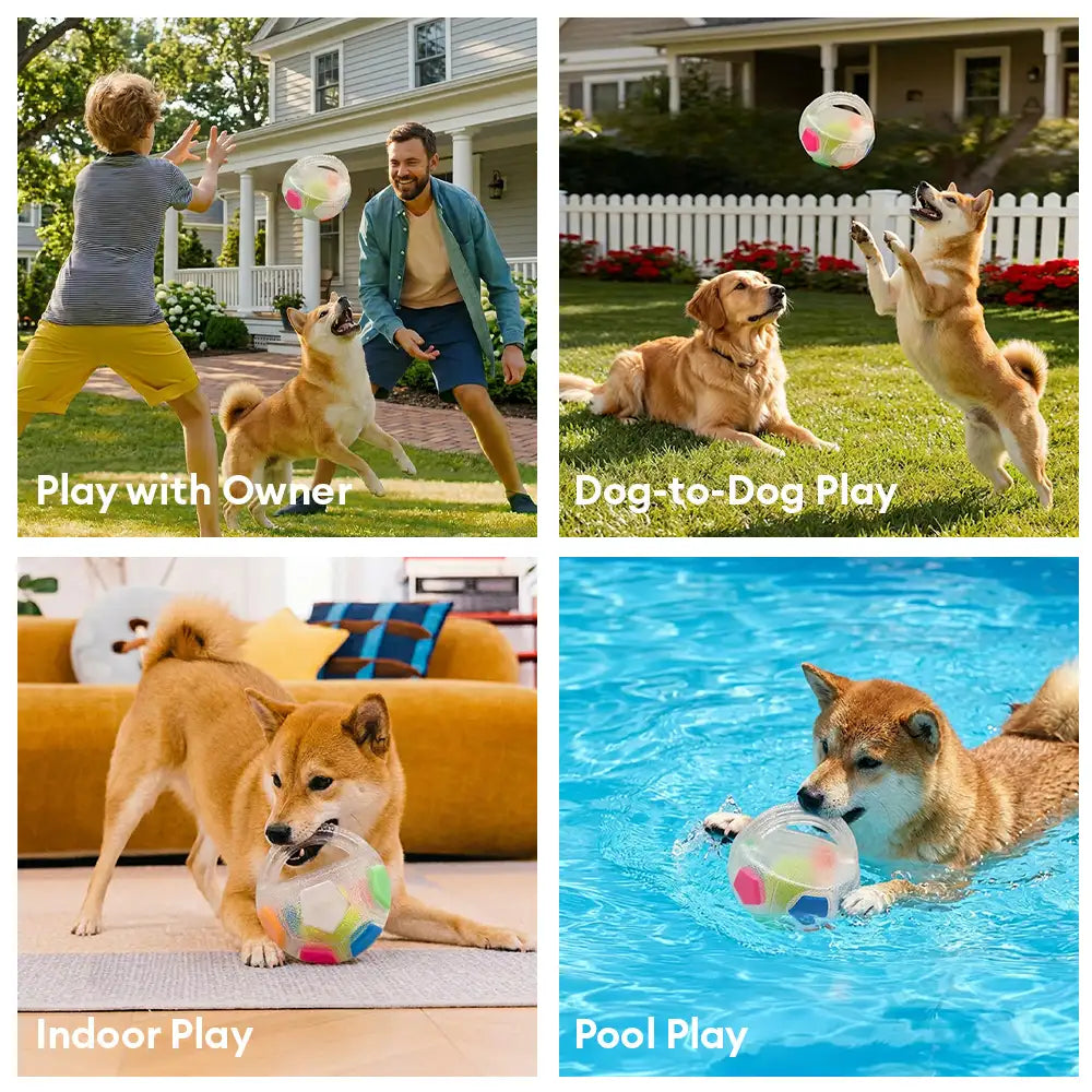 Dog Soccer Ball with Handle Floating Chew Toy