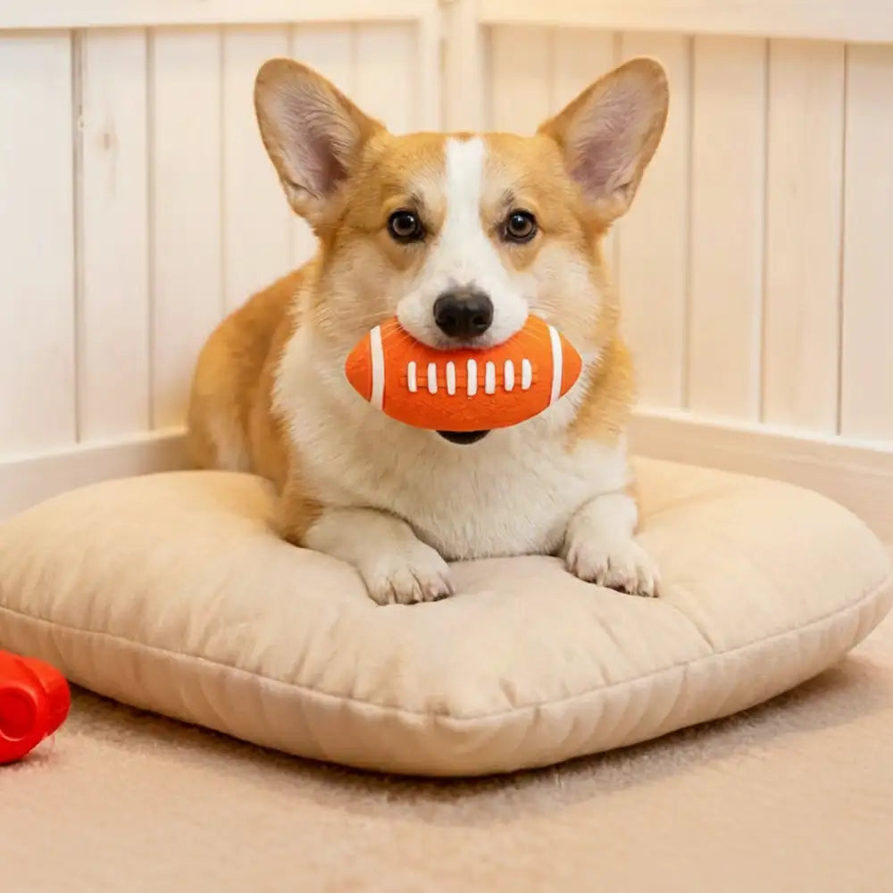 Durable Latex Teething With Squeaker Dog Chew Toy