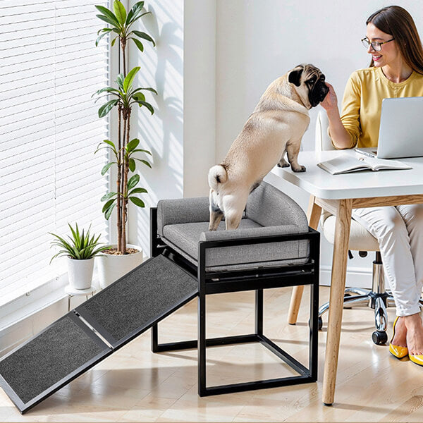 Elevated Pet Sofa Bed with Stairs Ramp for Bedside Lounge or Dog Window Perch