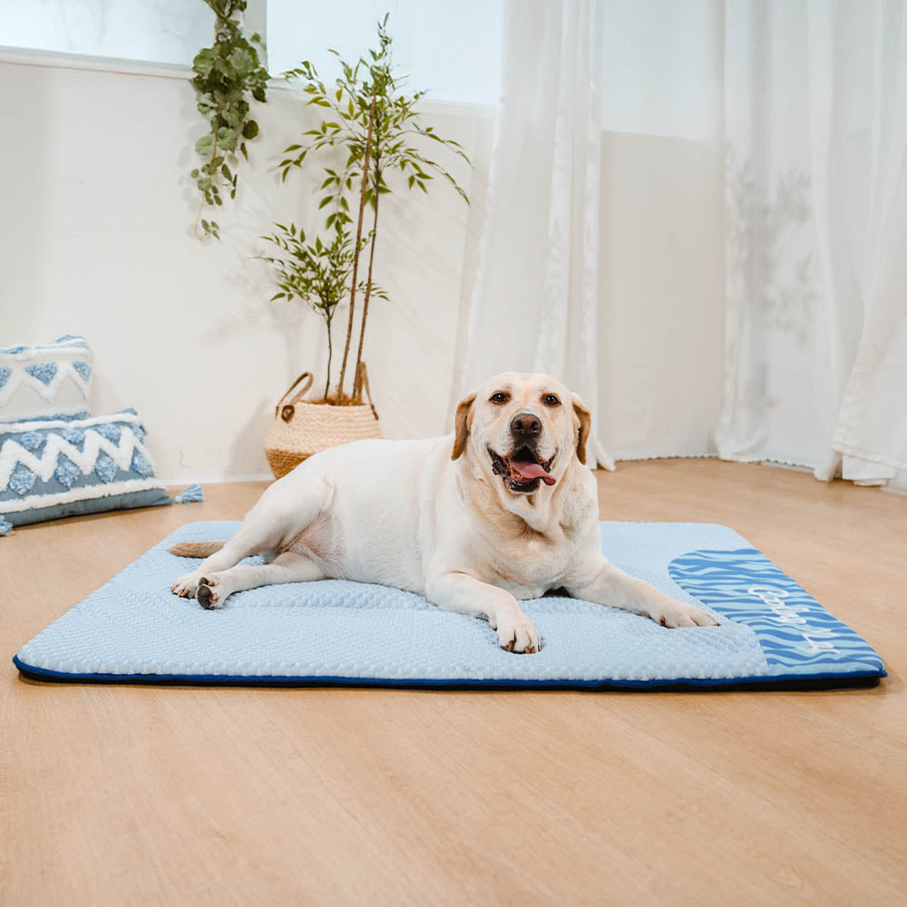 Breathable Cooling Elevated Dog Bed With Cooling Mat