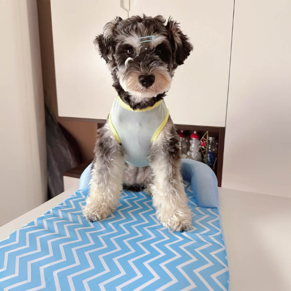 Scratch-Resistant Waterproof Breathable Neck-Support Dog Bed