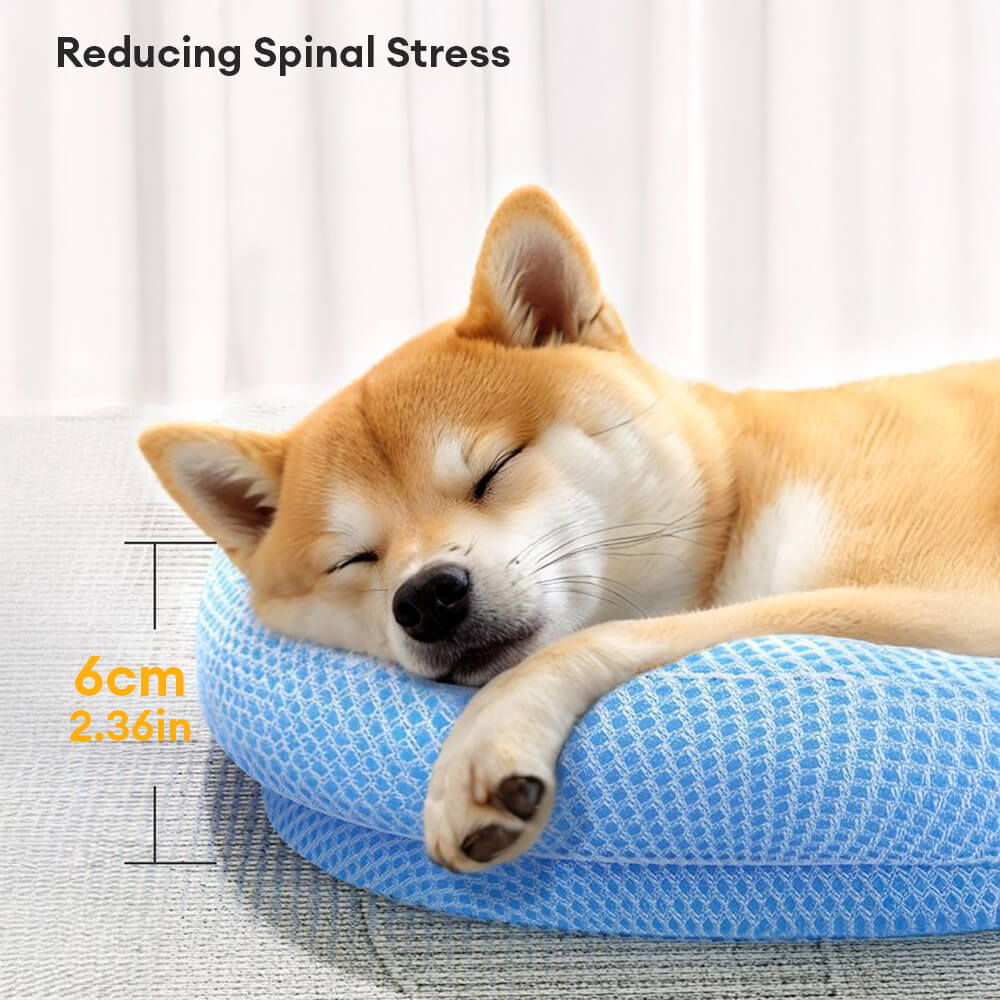 Scratch-Resistant Waterproof Breathable Neck-Support Dog Bed