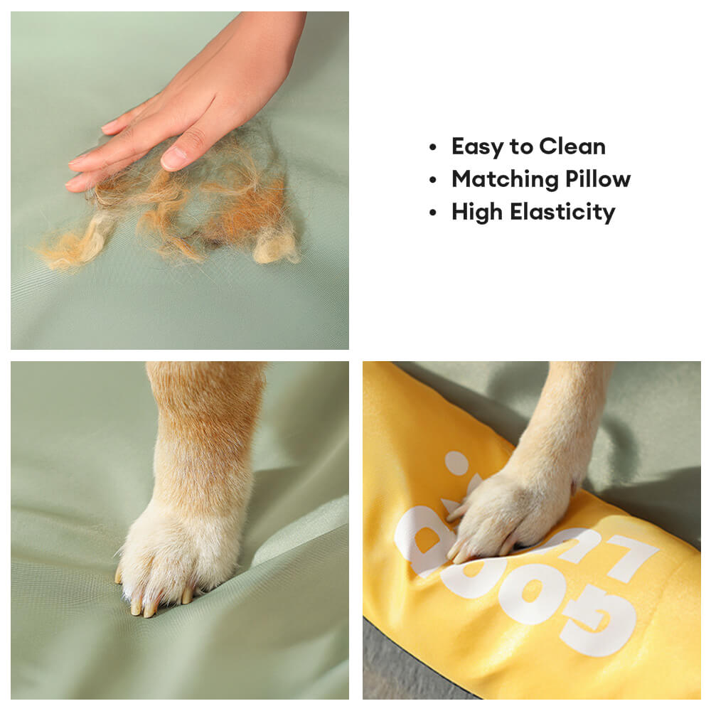 Colorblock Waterproof Scratch-Resistant All-Season Dog Mat