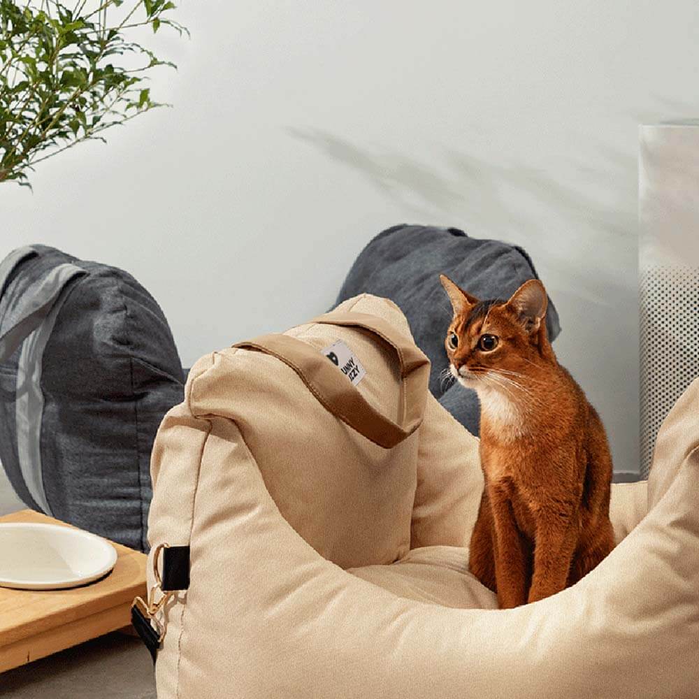 Cama de asiento para el asiento del automóvil para perros de seguridad para perros - Primera clase