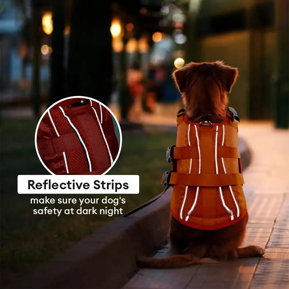 Adjustable Dog Life Jacket with Reflective Strips for Medium and Large Dogs