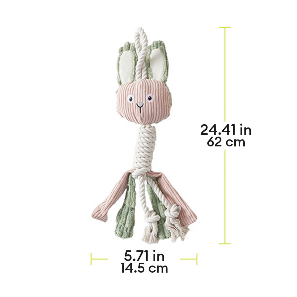 Jouet interactif pour chien en peluche, assemblage d'animaux, nettoyage des dents, couinement