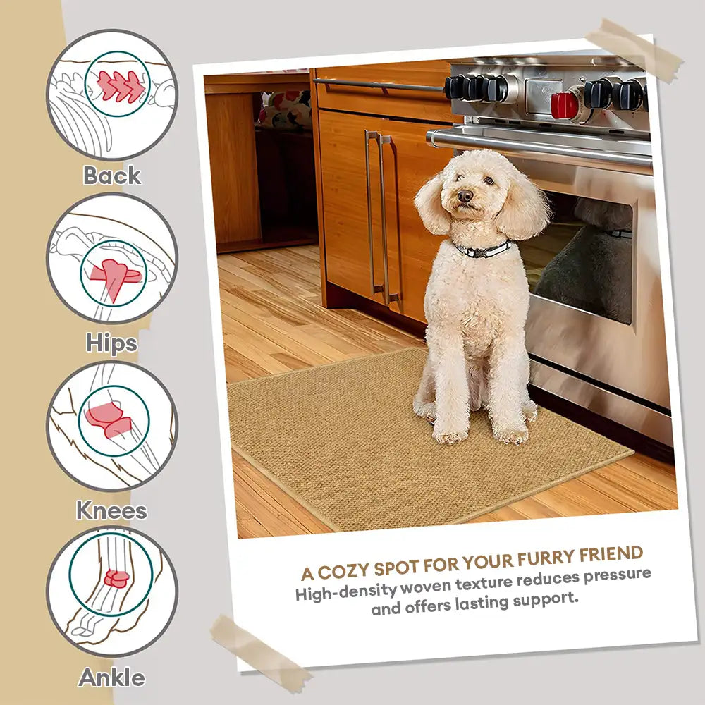 Trañas de escaleras de alfombra lavables sin cinta antideslizante