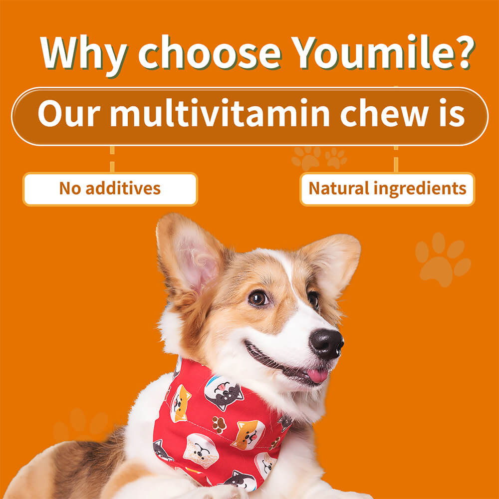 Dog Multivitamin Treats for Immune Health and Skin & Coat Support - 120 Count