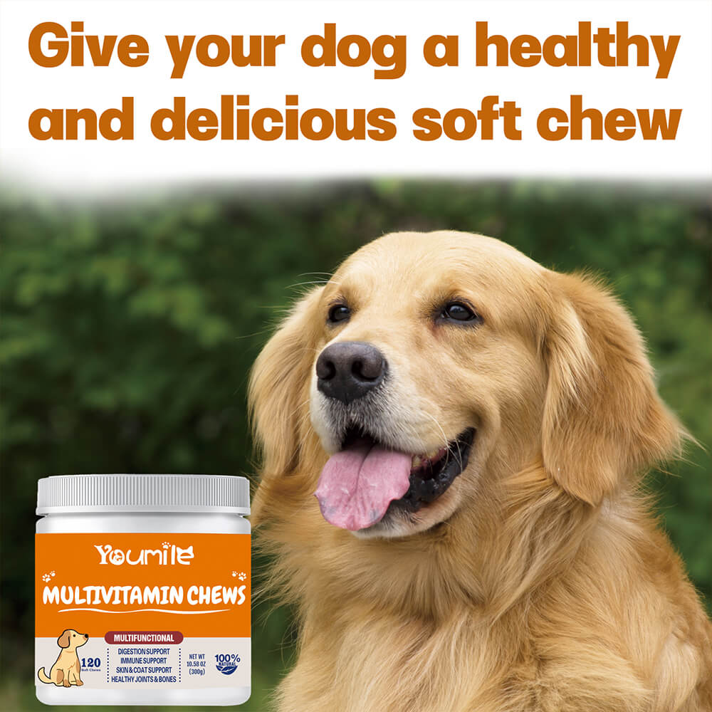 Dog Multivitamin Treats for Immune Health and Skin & Coat Support - 120 Count
